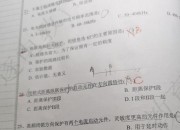纵联保护